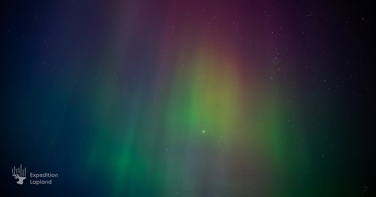 Aurora Hunt & Moose Sausage BBQ