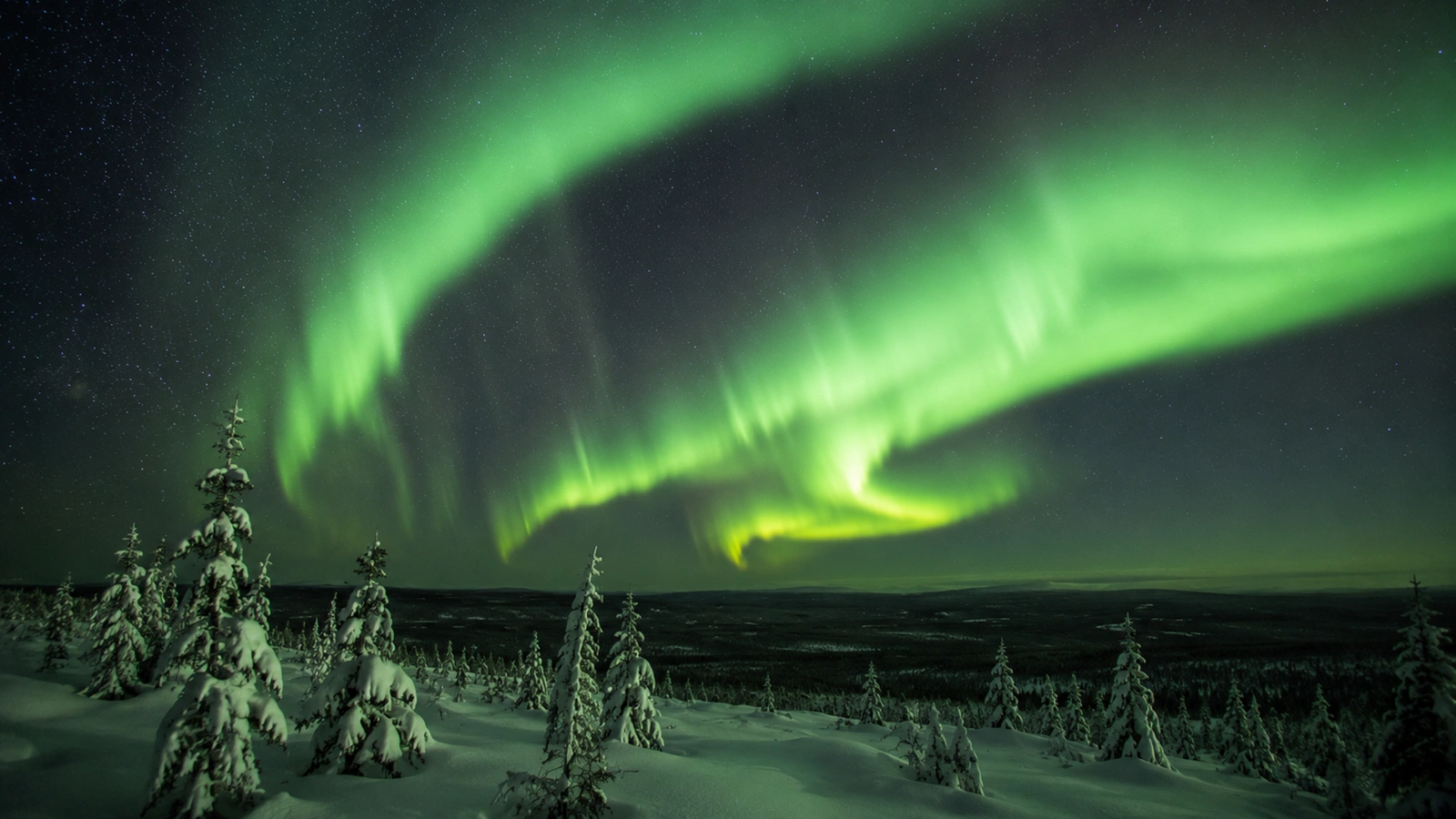 Northern Lights above a snowy wilderness landscape near Kiruna in Swedish Lapland