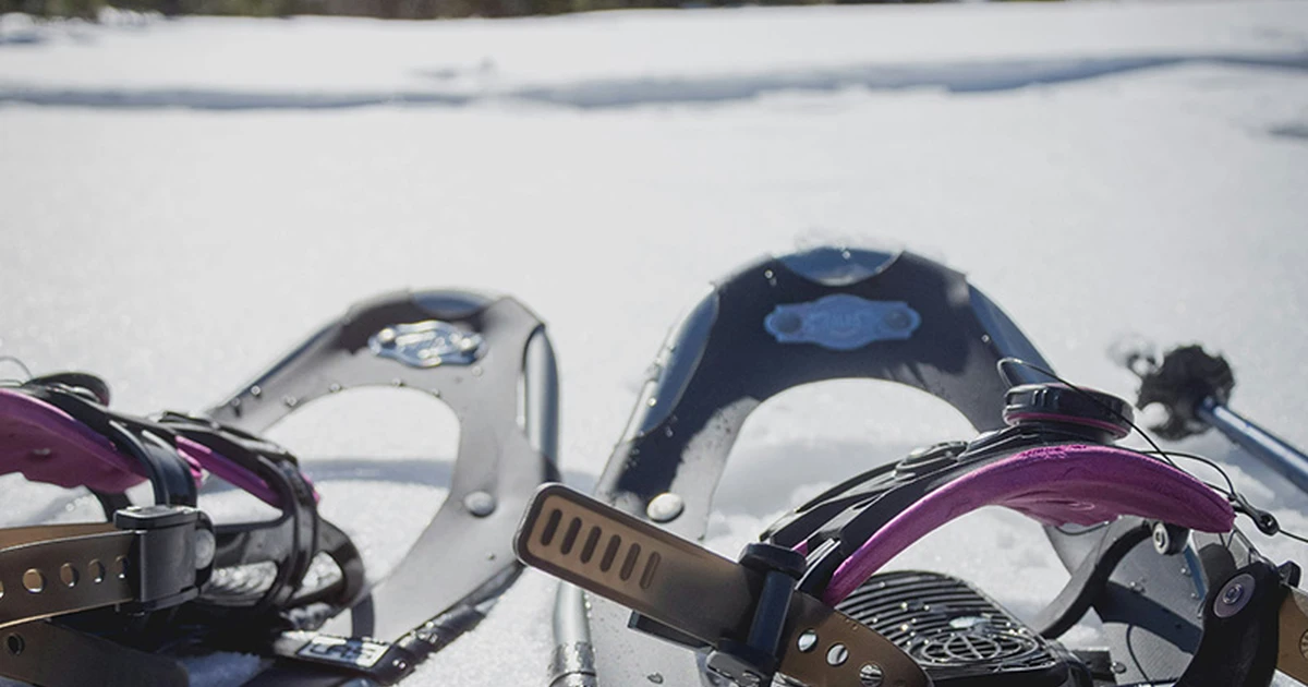 Daytime Snowshoe Hike Kiruna