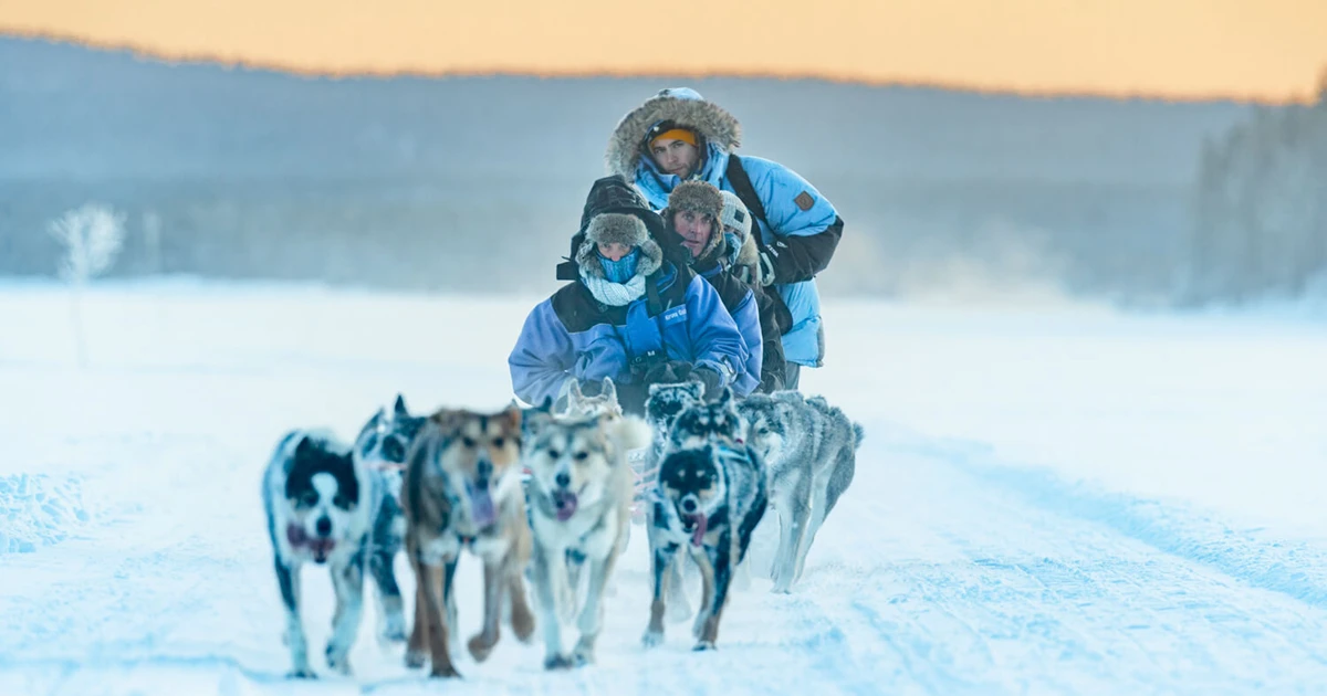 Dog Sledding in a Winter Wonderland