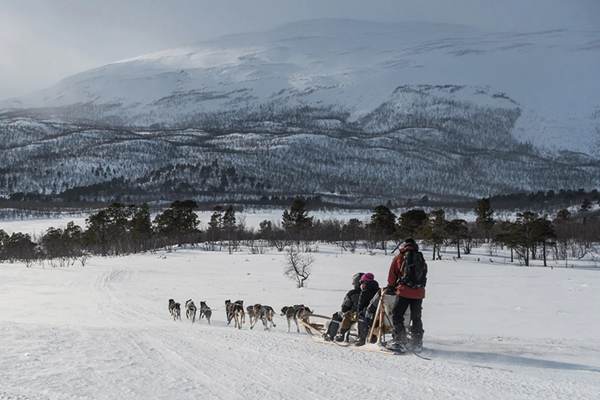 Husky sled tour in Kiruna