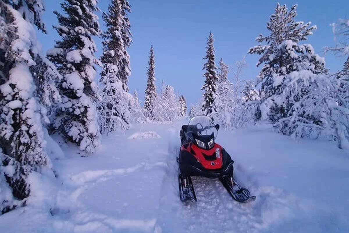Snowmobile safari in Kiruna