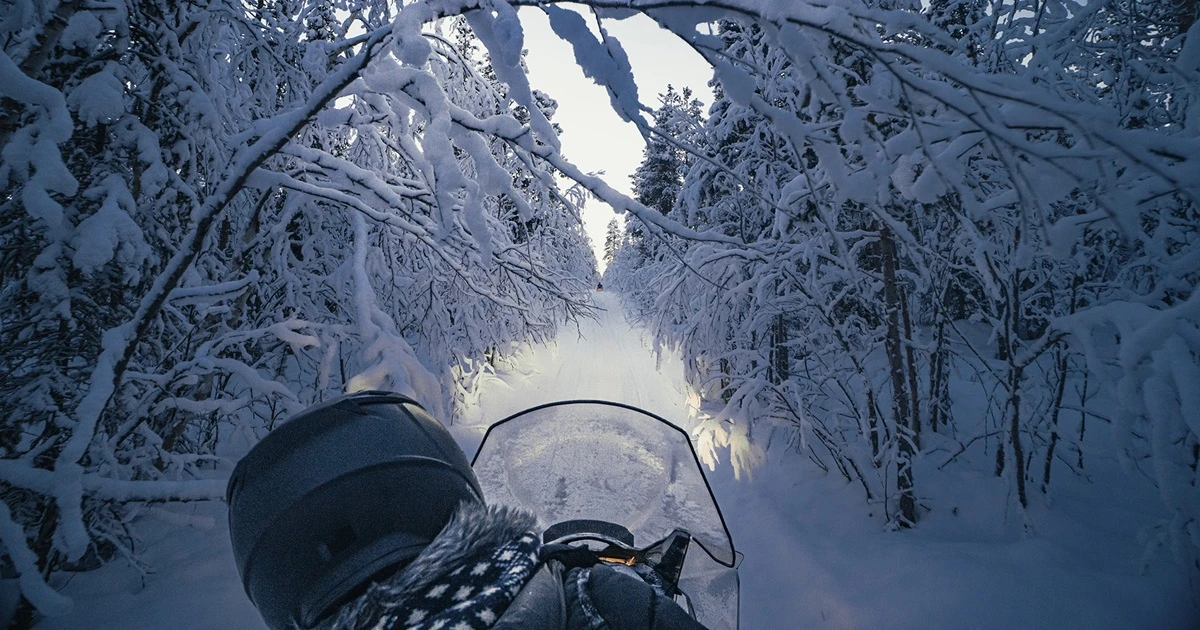 Full-Day Snowmobile Wilderness Expedition in Kiruna