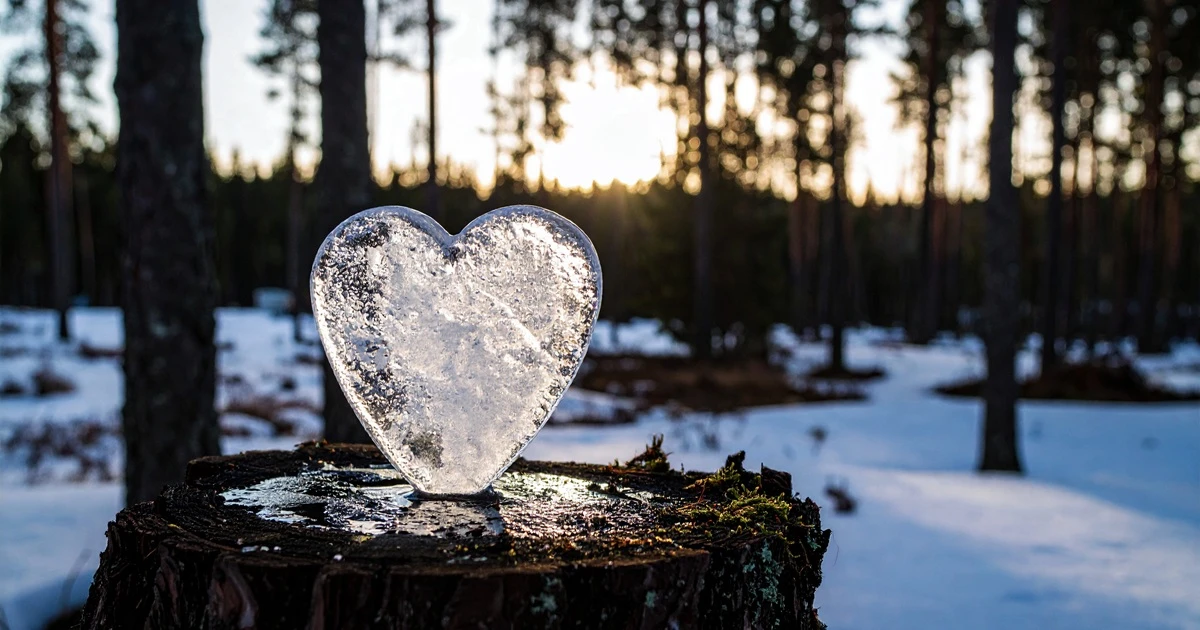 Arctic Ice Carving & Campfire Lunch in Kiruna