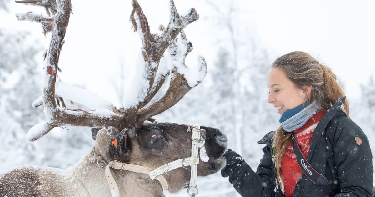 Visit the Sami & Reindeer in Jukkasjärvi